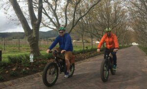 A Vinebike Tour Through Stellenbosch for 2