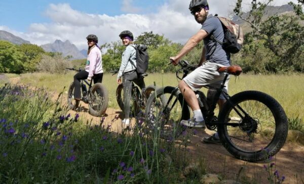A Self-Guided Vinebike Tour Through Stellenbosch for 2 - Image 2