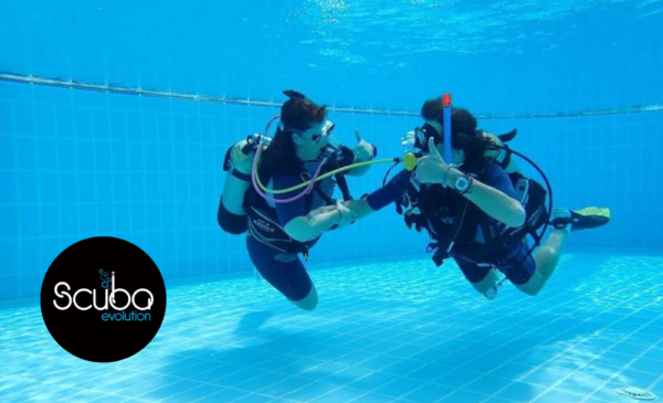 An Introductory Scuba Diving Course for 1 in Douglasdale