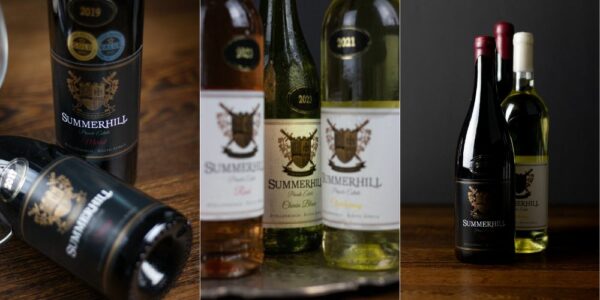 A Delightful Wine & Cheese Pairing for 2 at an Award-Winning Stellenbosch Wine Farm - Image 3