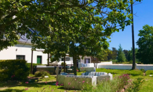 A Holistic Pamper Package for 1 in the Cape Winelands