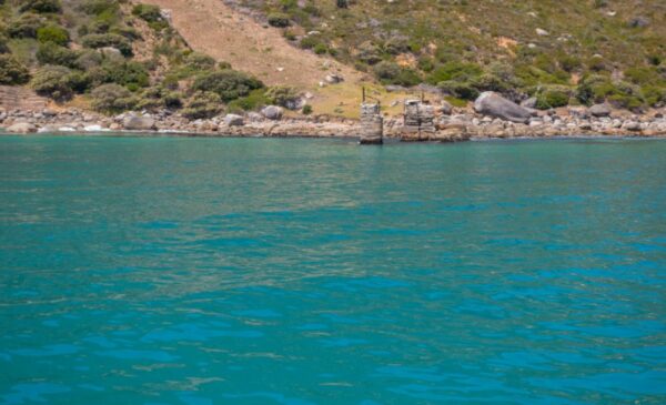 Ocean view spotted from a Circe Launches cruise in Hout Bay