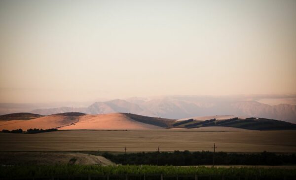 Unwind on an Idyllic Paarl Vineyard with this 2-Night Stay for 4 People - Image 12