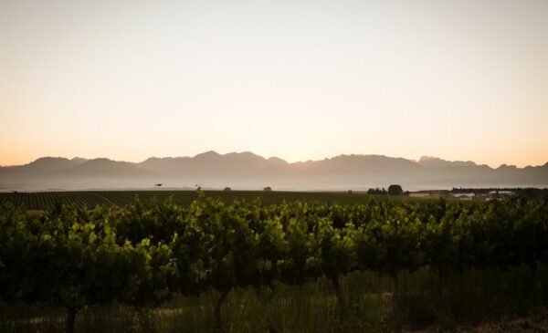 Experience the Beauty of Paarl with a 2-Night Vineyard Getaway - Image 13