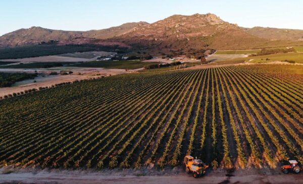 Unwind on an Idyllic Paarl Vineyard with this 2-Night Stay for 4 People - Image 13