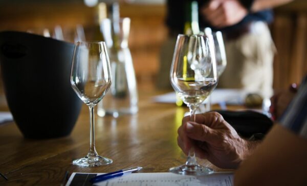 Unwind on an Idyllic Paarl Vineyard with this 2-Night Stay for 4 People - Image 11