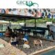 The scratch patch at Gecko Jewellers in Midrand. gemstoe tour