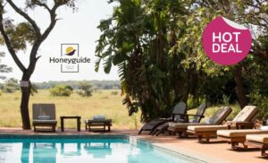 The pool area at the Honeyguide Tented Safari Ranger Camp at the Entabeni Safari Conservancy