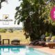 The pool area at the Honeyguide Tented Safari Ranger Camp at the Entabeni Safari Conservancy