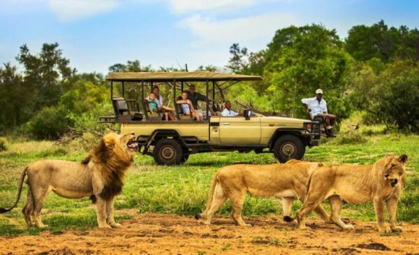 An African Bush Experience for You and Your Loved One - Image 4