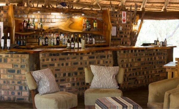An African Bush Experience for You and Your Loved One - Image 3