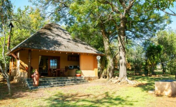 Sight the Big Five with an All-Inclusive Luxury Bush Stay in the Waterberg Region - Image 10