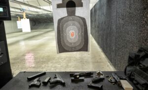 A Choice of Any Action Hero Shooting Experience