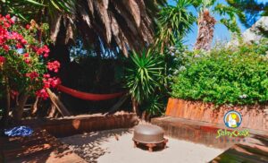 The garden area at Saltycrax Backpackers in Tableview.
