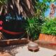 The garden area at Saltycrax Backpackers in Tableview.