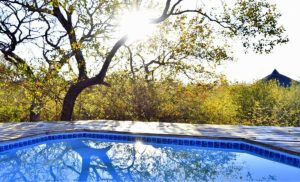 The view of the pool at Thulani Game Lodge in Waterberg