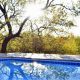 The view of the pool at Thulani Game Lodge in Waterberg