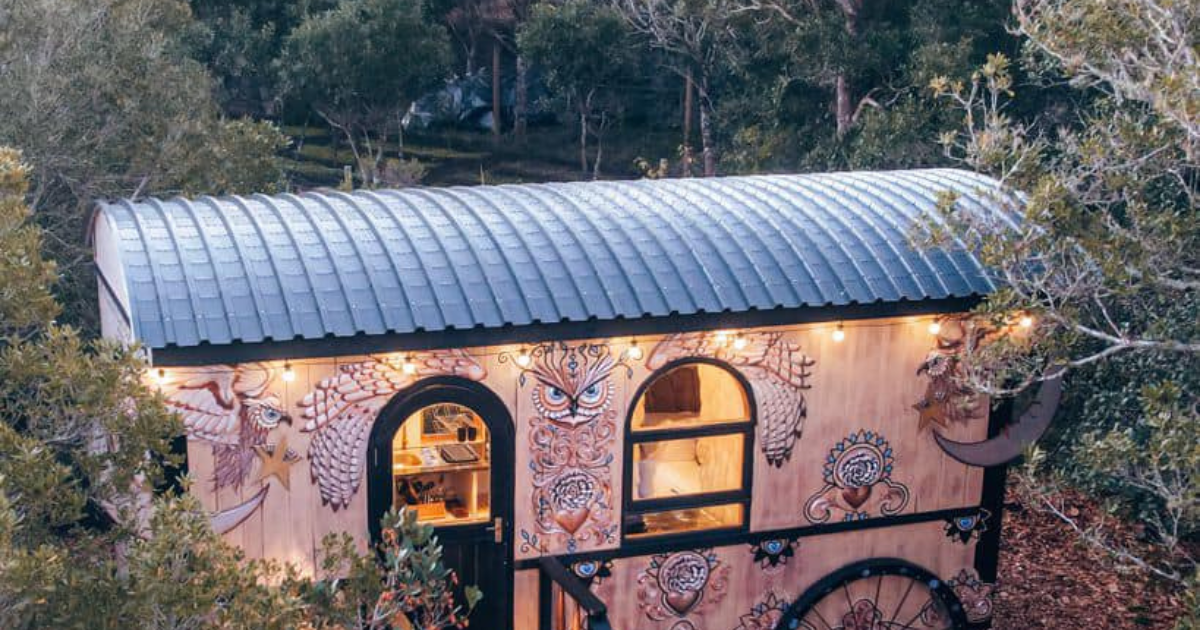Things to do in the Garden Route at night