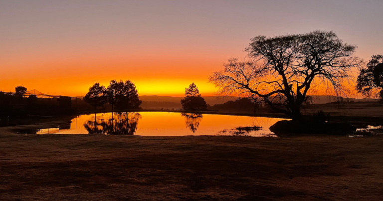 10 Things to do in Dullstroom