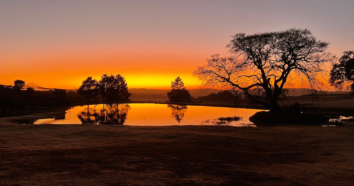 Things to do in Dullstroom