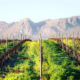 10 Things to do in Secunda