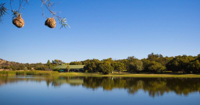 10 Exciting things to do in the Free State