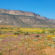 10 Great things to do in Constantia