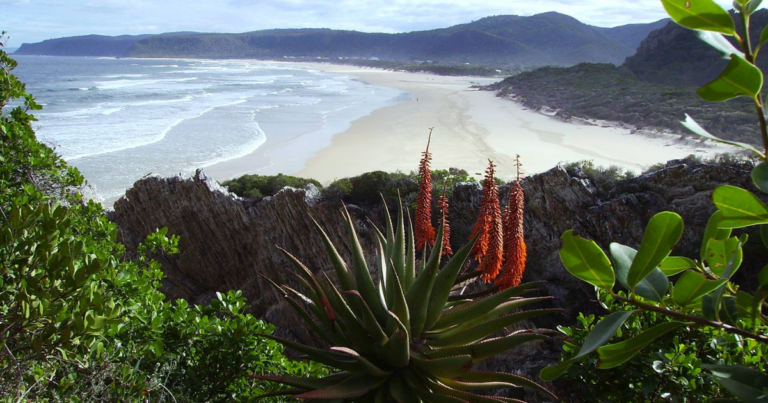 10 Fun things to do in Storms River