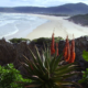 10 Exciting things to do in the Free State