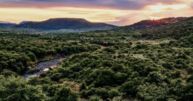 10 Things to do in Ladysmith