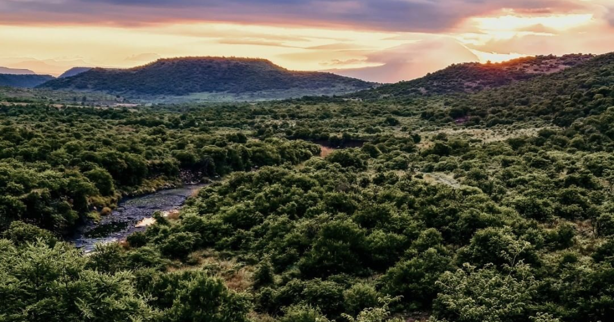 Things to do in Ladysmith