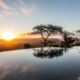 10 Things to do in Ladysmith