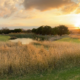 10 Lodges in Port Elizabeth