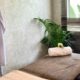 A 2-Hour Spa Retreat with Lunch in Muldersdrift