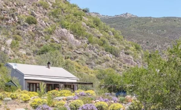 Escape to the Picturesque Citrusdal Valley with a Midweek Getaway - Image 2