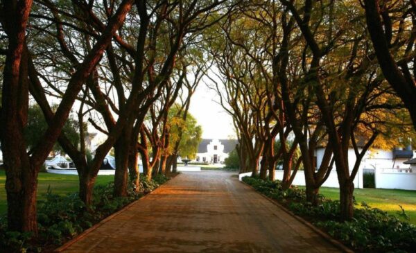 Whisk Your Partner Away to the Kievits Kroon Estate for a Romantic Country Getaway - Image 6