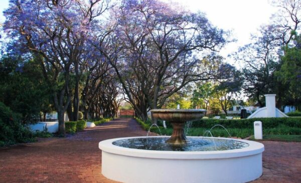 Whisk Your Partner Away to the Kievits Kroon Estate for a Romantic Country Getaway - Image 5
