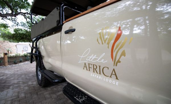 Have a Unique African Bushveld Adventure with an All-Inclusive 2-Night Stay in Hoedspruit - Image 3