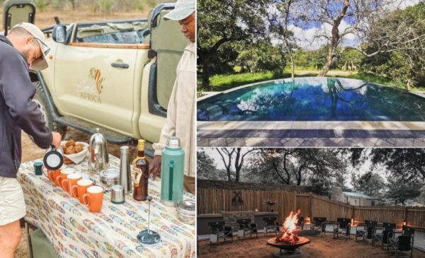 Have a Unique African Bushveld Adventure with an All-Inclusive 2-Night Stay in Hoedspruit - Image 2
