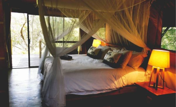 Have a Unique African Bushveld Adventure with an All-Inclusive 2-Night Stay in Hoedspruit - Image 6