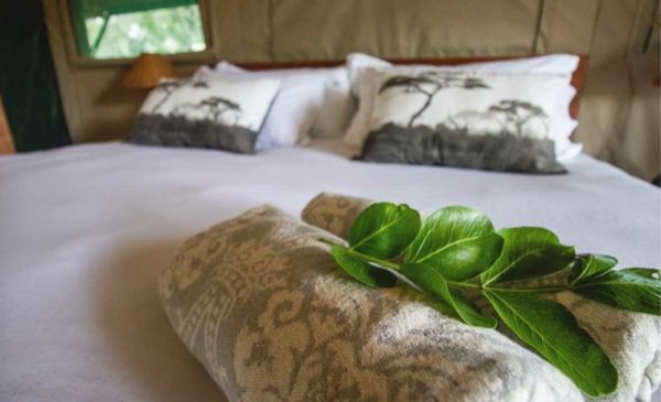 Have a Unique African Bushveld Adventure with an All-Inclusive 2-Night Stay in Hoedspruit - Image 5