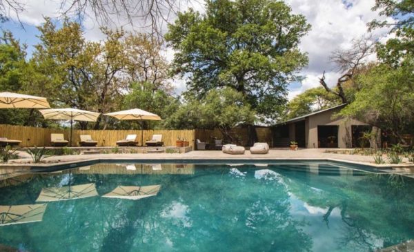 Have a Unique African Bushveld Adventure with an All-Inclusive 2-Night Stay in Hoedspruit - Image 7