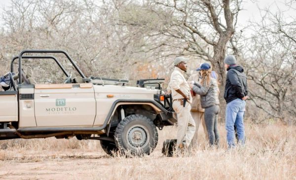A game drive at Moditlo River Lodge in Hoedspruit