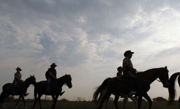 People riding horses at SA Horse Trails in Fourways