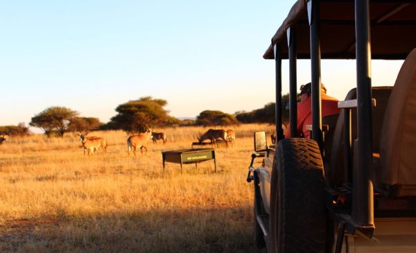 Retreat to a Private Game Reserve in Brits with a 1-Night Bush Lodge Stay - Image 6