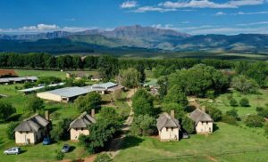 A 1-Night Bed & Breakfast Stay in the Champagne Valley