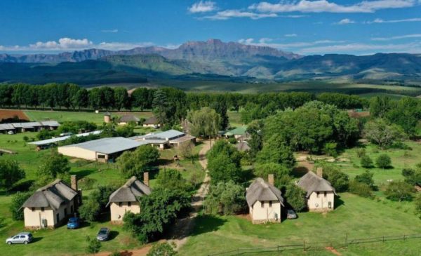A 1-Night Bed & Breakfast Stay in the Champagne Valley