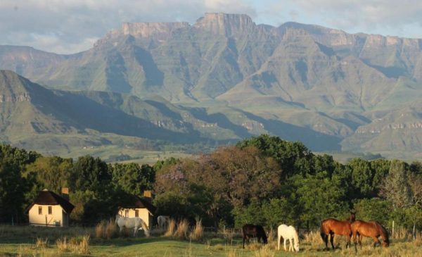 A Rustic Bed & Breakfast Stay in the Drakensberg's Champagne Valley - Image 2