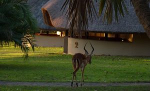 The outside of a Lalapanzi Deluxe Chatlet at Bonamanzi Game Reserve in Hluhluwe