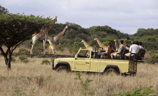 An Unbelievable Safari Stay for You and a Loved One - Image 4